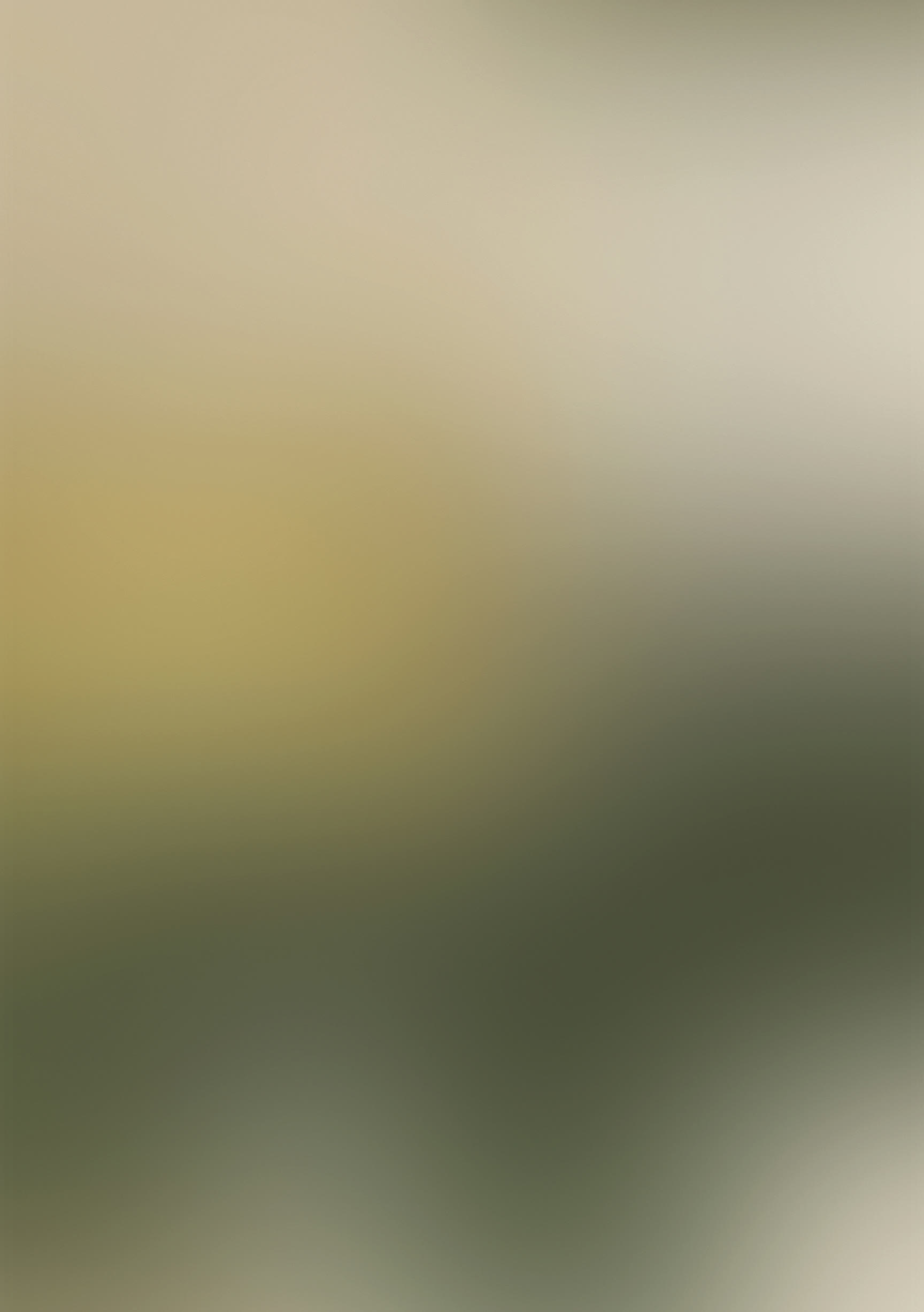 Background do empreendimento